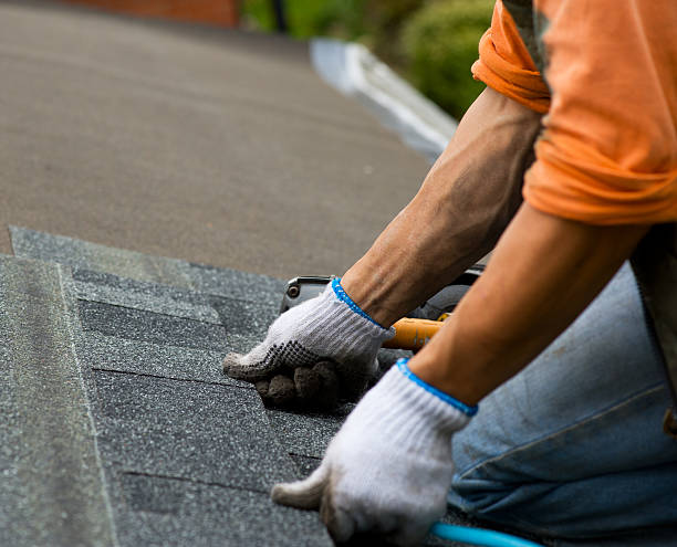 Best Roof Gutter Cleaning  in Eden, NC